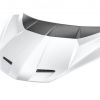 Photo of 1016 Industries Race Hood for the Lamborghini Revuelto - Image 1